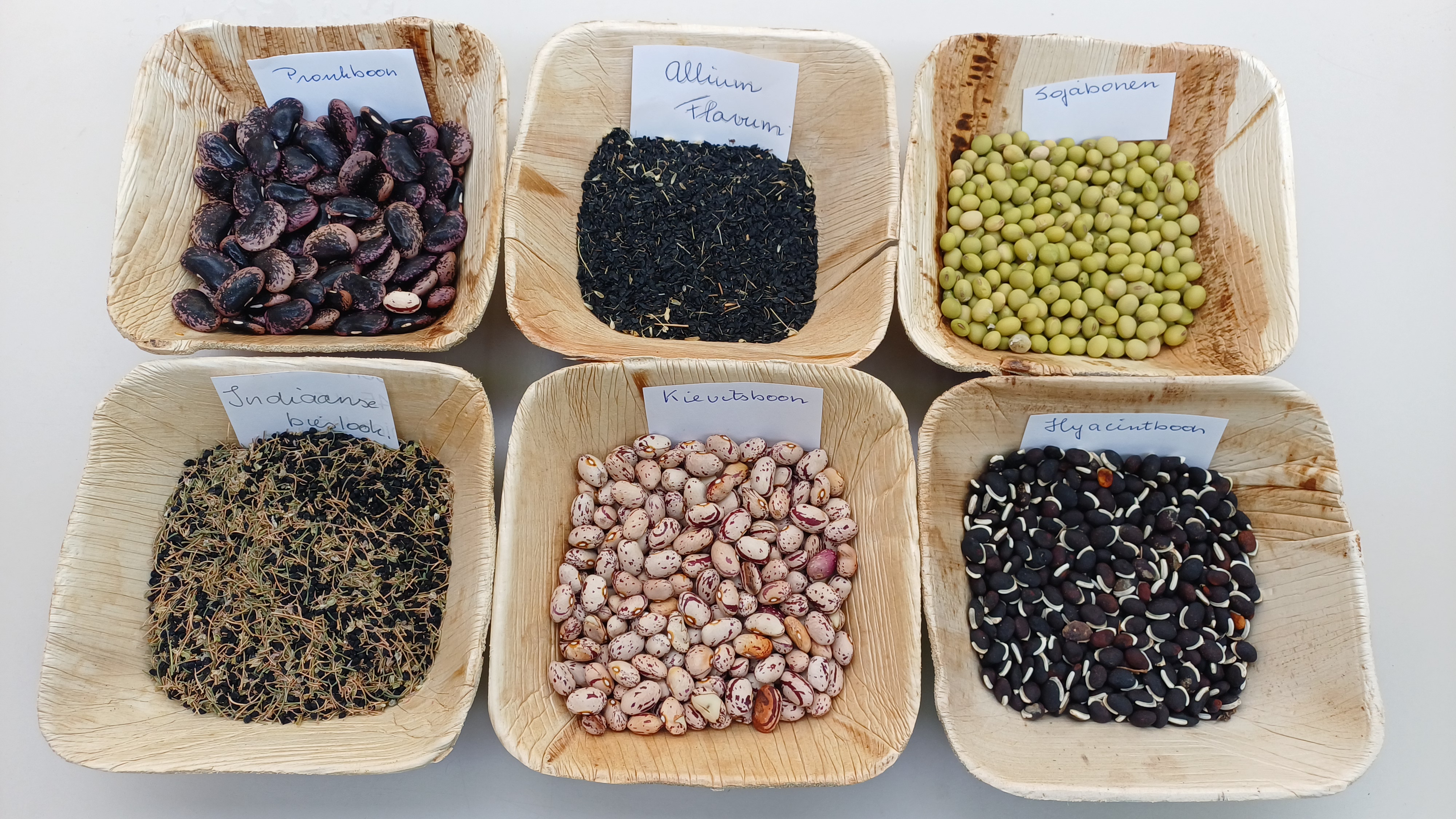 Zadenruilmarkt in Schin op Geul