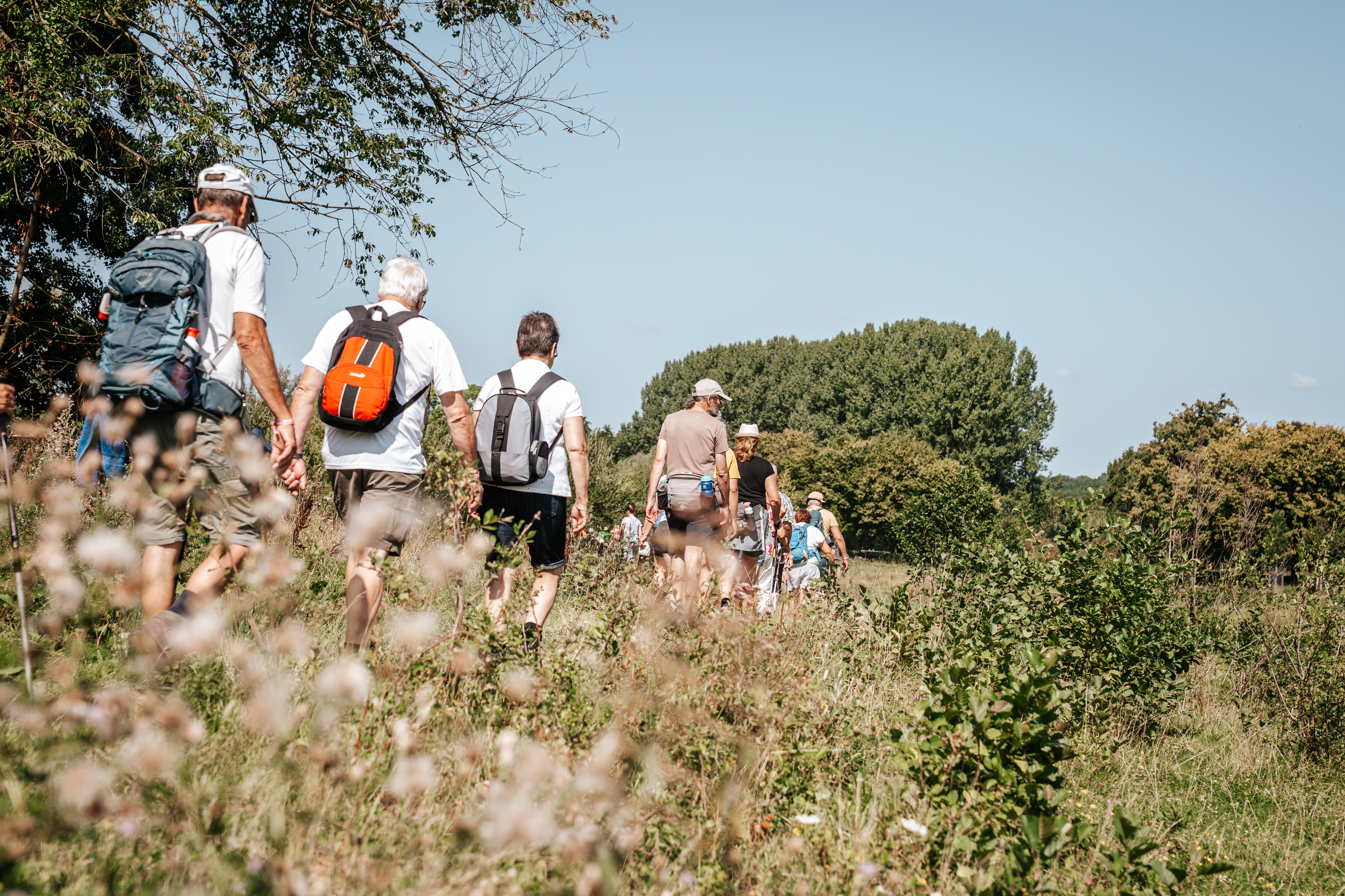 Heuvelland Wandel4daagse